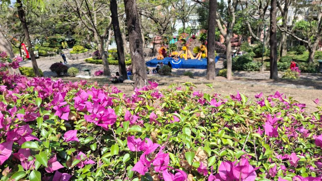 Exhibiciones y concursos destacan en la Feria de las Flores 2026 | Alex Meoño