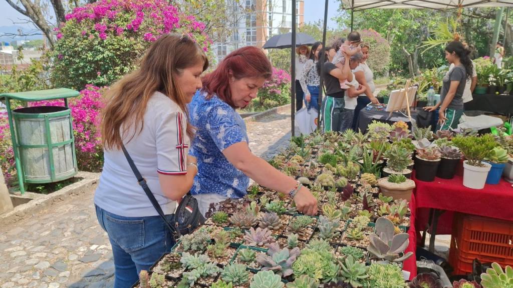 Exhibiciones y concursos destacan en la Feria de las Flores 2026 | Alex Meoño