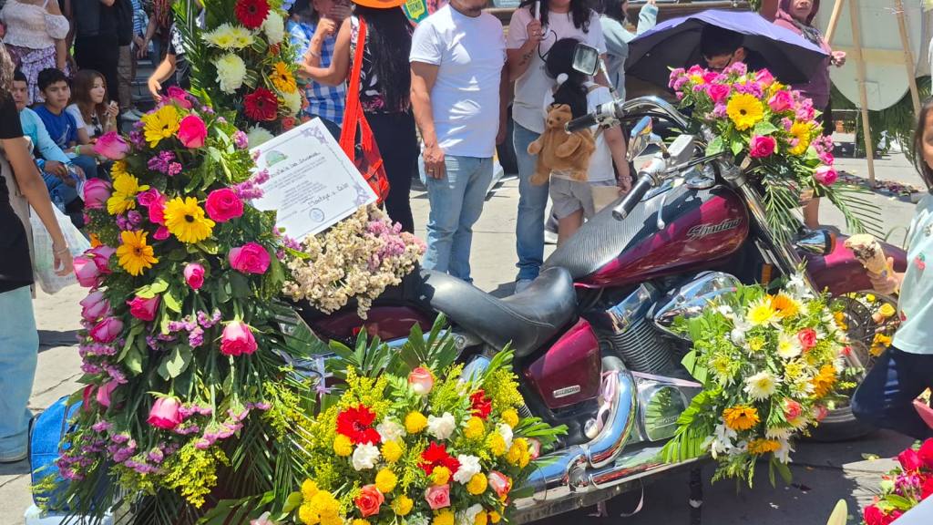 Festival Entre Pétalos | Wilber Coyoy