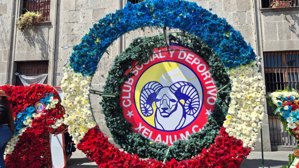 Festival Entre Pétalos | Wilber Coyoy