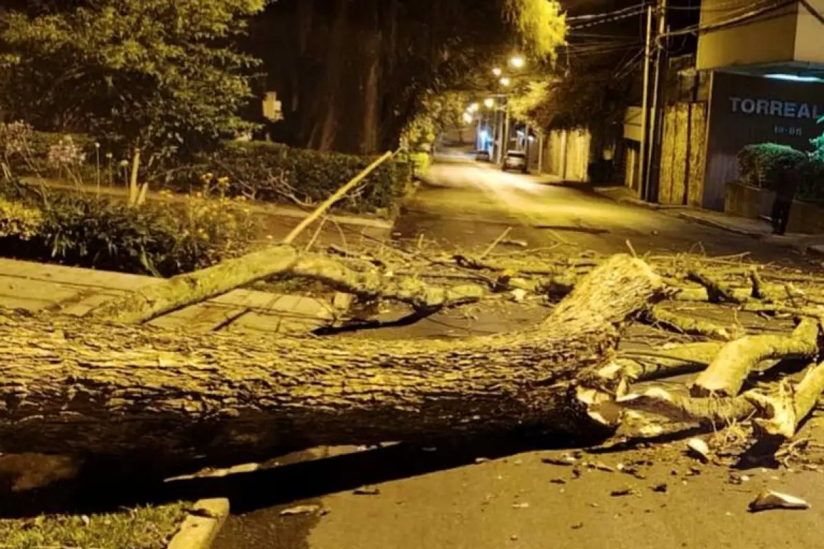 ., PMT capitalina/Montejo