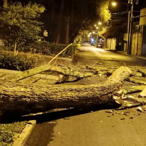 . ,PMT capitalina/Montejo