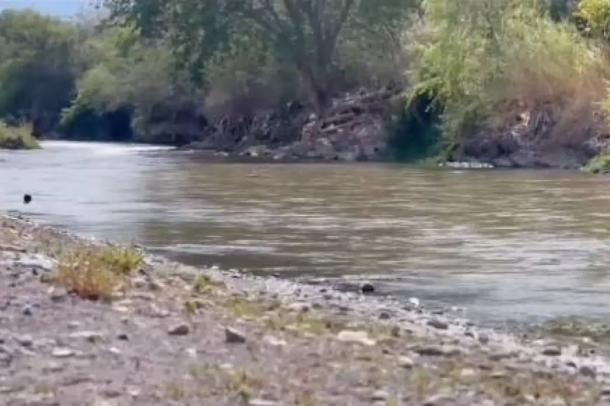 Alianza por la Cuenca del Motagua, Instagram