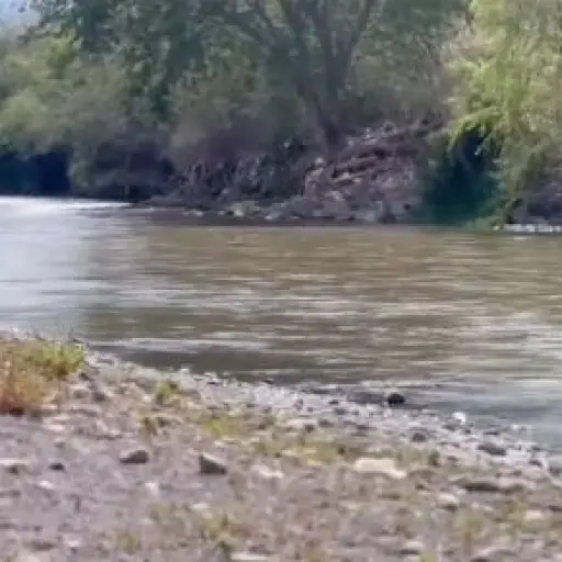 Alianza por la Cuenca del Motagua ,Instagram