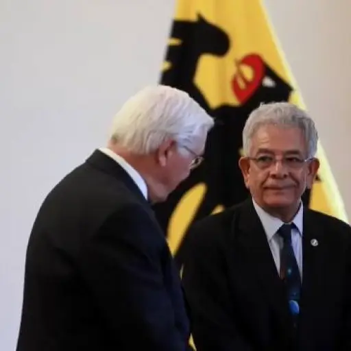 El presidente de Alemania, Frank-Walter Steinmeier, recibió al juez guatemalteco Miguel Ángel Gálvez. ,EFE