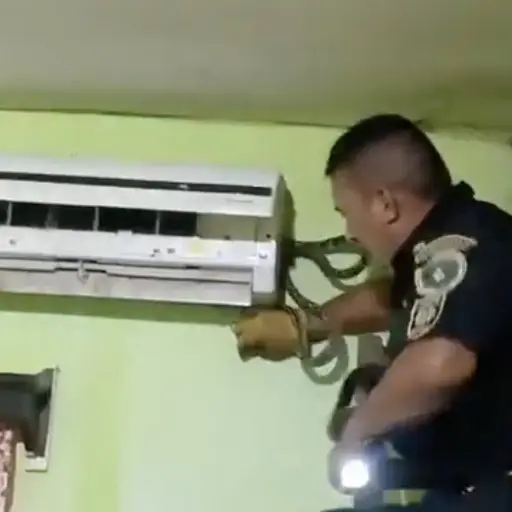 Video muestra rescate de serpiente en aire acondicionado. ,Captura de pantalla video de X.