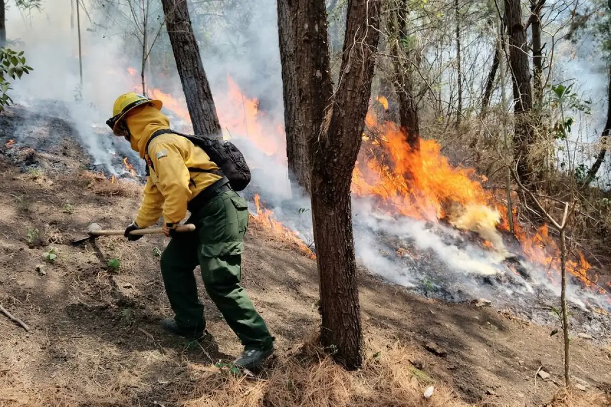 Equipos de socorro combaten un incendio forestal., Ilustrativa de archivo: EFE