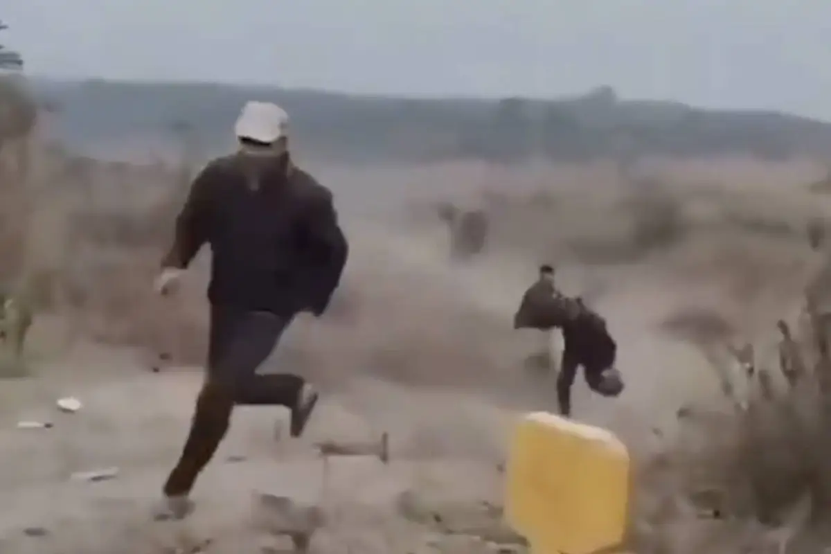 Ataque mortal de elefante., Captura de pantalla video de X.