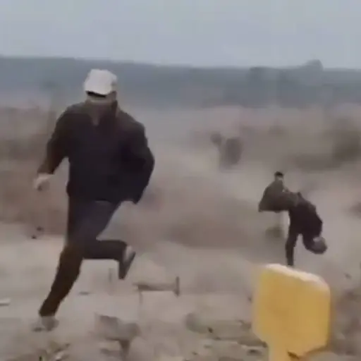 Ataque mortal de elefante. ,Captura de pantalla video de X.