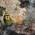 Expertos combaten un incendio en la aldea El Palmar, de Olopa, Chiquimula. ,Conred