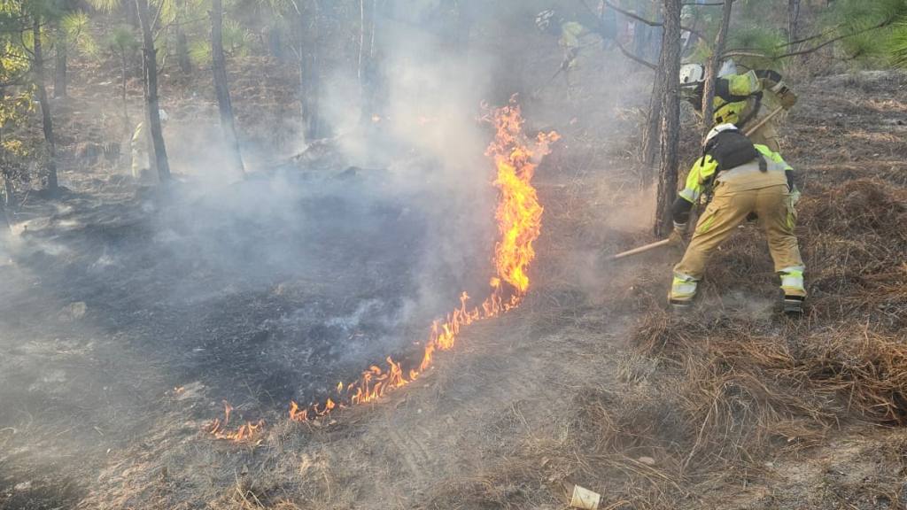 Alerta por incendios forestales: Conred reporta 24 activos | Conred de Guatemala