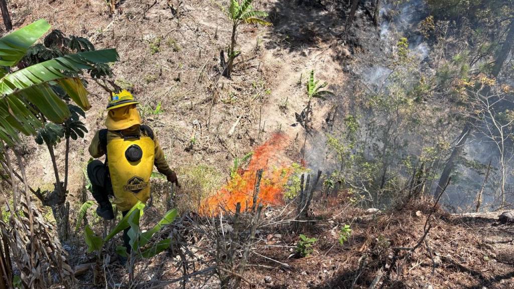 Alerta por incendios forestales: Conred reporta 24 activos | Conred de Guatemala