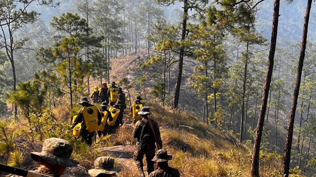 Alerta por incendios forestales: Conred reporta 24 activos | Conred de Guatemala
