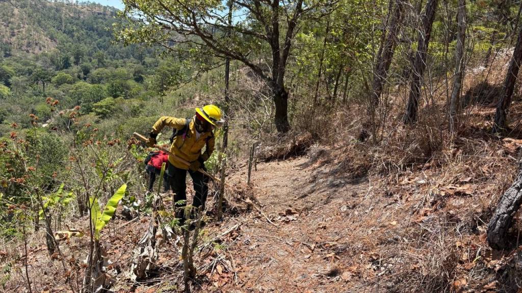 Alerta por incendios forestales: Conred reporta 24 activos | Conred de Guatemala