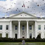 Enjambre masivo de abejas invade la Casa Blanca y video se vuelve viral en redest