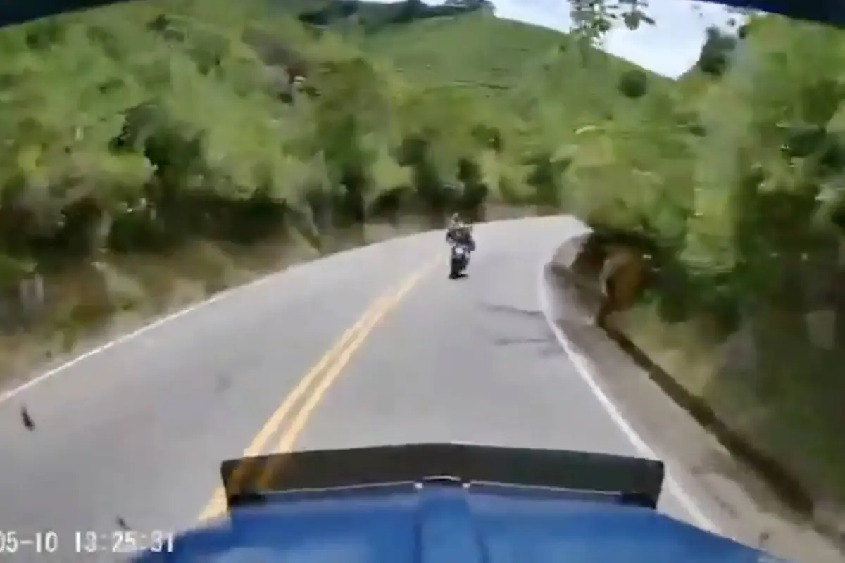 Choque frontal entre motocicleta y tráiler que dejó dos muertos en Colombia., Captura de pantalla video de X.