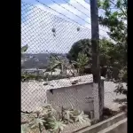 Autoridades activan protocolos por motín en cárcel Santa Teresat