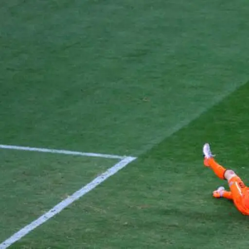 Países Bajos perdió la final ante España del Mundial 2010 ,FIFA
