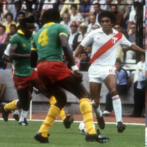 Camerún, Bélgica y Nueva Zelanda, una historia en común 