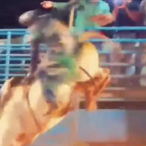 Video muestra el momento en que el toro pisa al jinete. ,Captura de pantalla video de X.