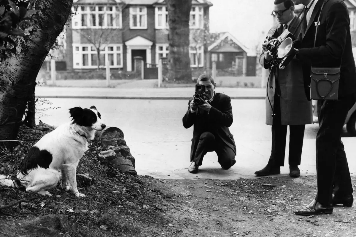 Pickles, el perro que encontró la Copa del Mundo robada en 1966 - FIFA