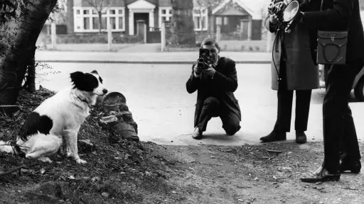 Pickles, el perro que encontró la Copa del Mundo robada en 1966