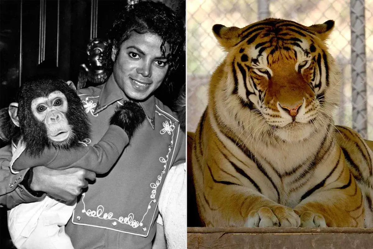 Michael Jackson, Redes sociales