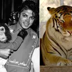 ¿Qué pasó con los animales exóticos de Michael Jackson tras abandonar Neverland?t