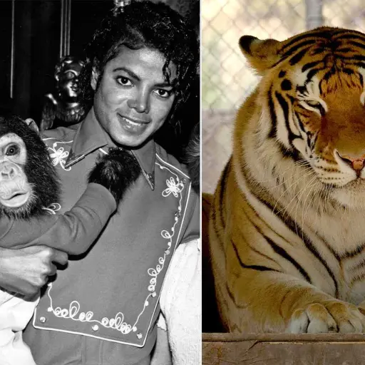 Michael Jackson ,Redes sociales