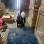 Incautan armas de fuego en aduana de Santo Tomás de Castillat