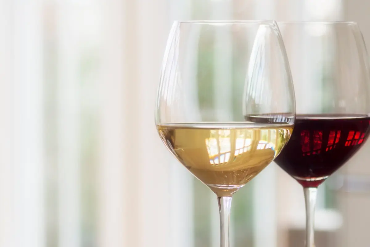 Vino, Vino