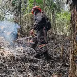 Apagan incendios forestales en Izabal, Petén y Huehuetenangot