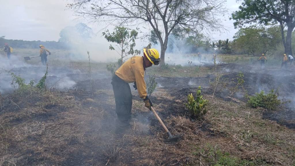 Apagan incendios forestales en Izabal, Petén y Huehuetenango | Bomberos forestales