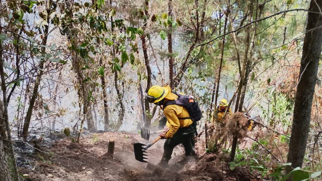 Apagan incendios forestales en Izabal, Petén y Huehuetenango | Bomberos forestales