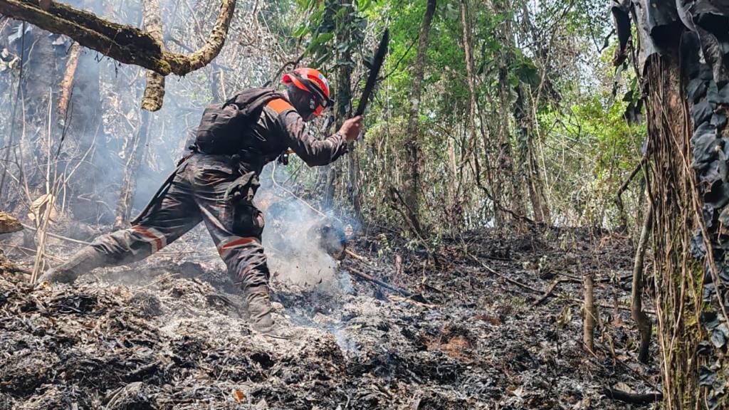 Apagan incendios forestales en Izabal, Petén y Huehuetenango | Bomberos forestales