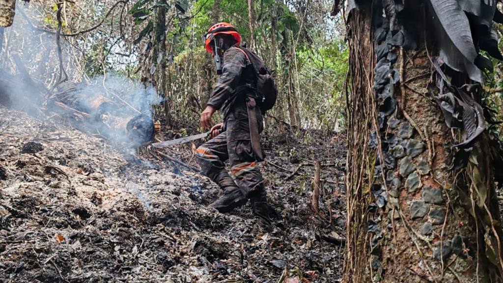 Apagan incendios forestales en Izabal, Petén y Huehuetenango | Bomberos forestales