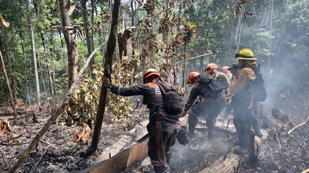 Apagan incendios forestales en Izabal, Petén y Huehuetenango | Bomberos forestales