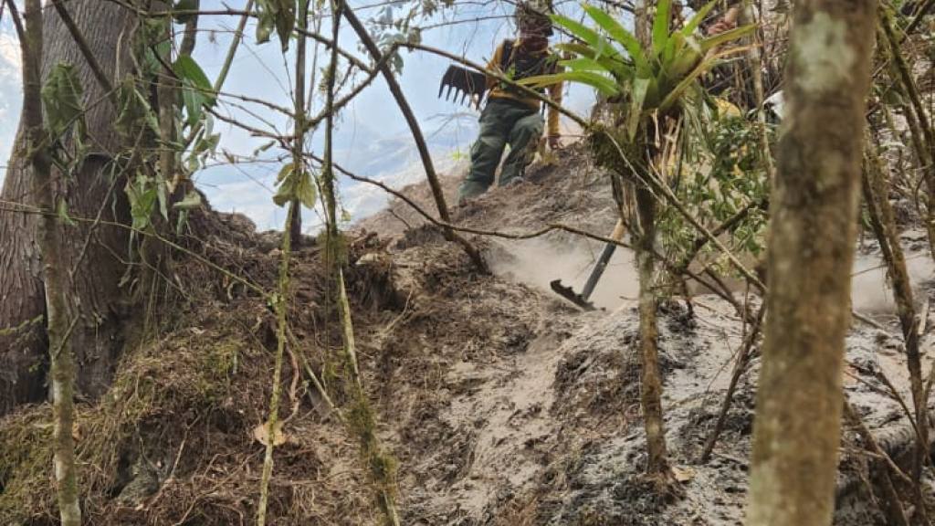 Apagan incendios forestales en Izabal, Petén y Huehuetenango | Bomberos forestales