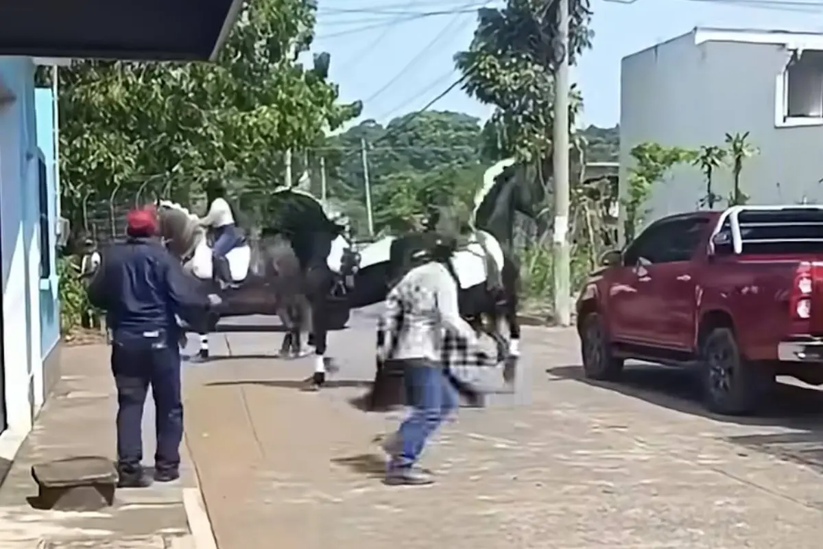 Pánico en desfile hípico., Captura de pantalla video de Facebook.