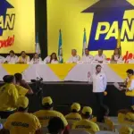 TSE confirma cancelación del Partido de Avanzada Nacional (PAN)t