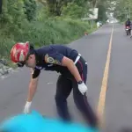 . ,Bomberos Municipales Departamentales