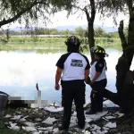 Hallan restos humanos en San Miguel Petapat