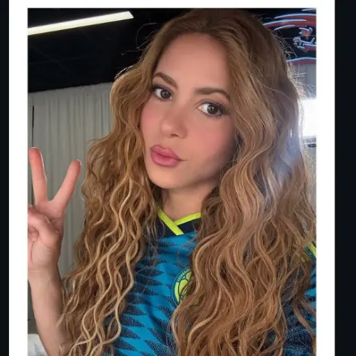 Shakira ,Redes sociales