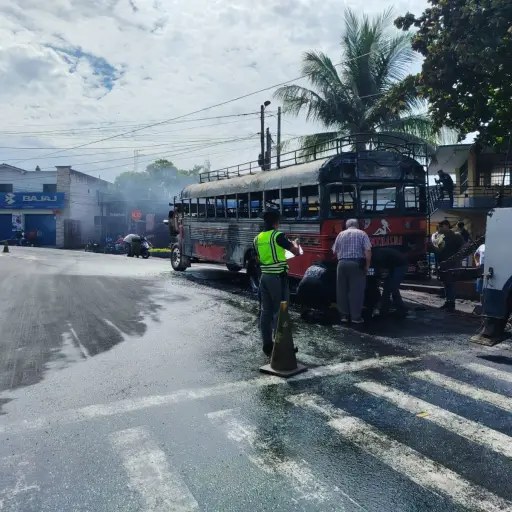 Agentes de Provial dieron asistencia en el lugar, tras el incendio de la unidad de transporte. ,PROVIAL.