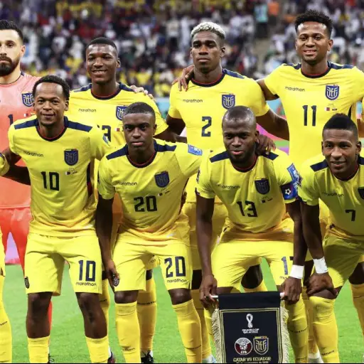 Selección de Ecuador ,Selección de Ecuador
