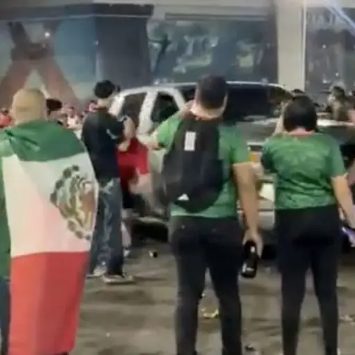 Atropellados en México  ,Redes sociales