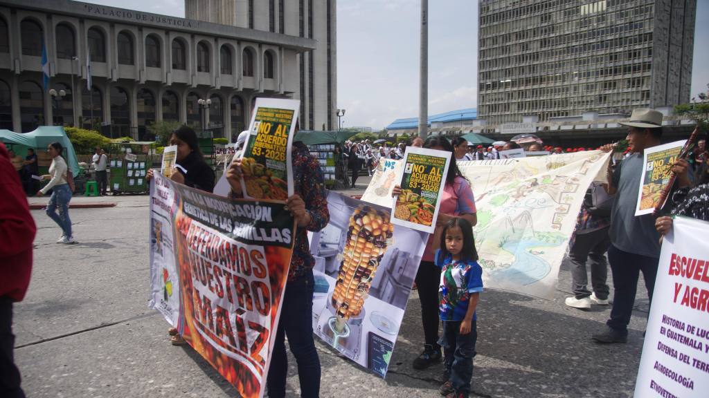 Caminata Ecológica 2026 en Ciudad de Guatemala | Omar Solís/EU