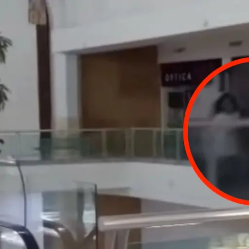La grabación generó un intenso debate entre los usuarios de las redes sociales. ,Captura de pantalla video de TikTok.