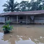 Cinco personas han fallecido durante la temporada de lluvias en Guatemalat