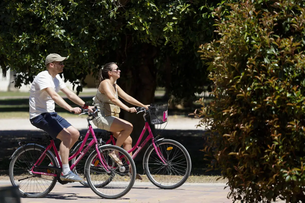 Día Mundial de la Bicicleta, Redes sociales